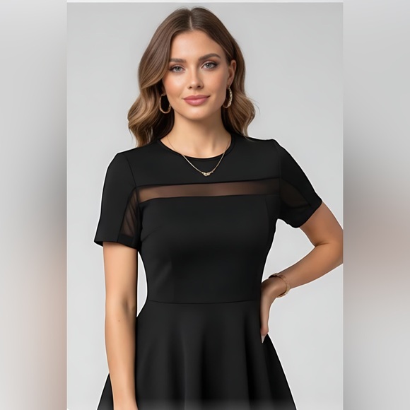 Black Contrast Mesh A-line Dress - Picture 5 of 6